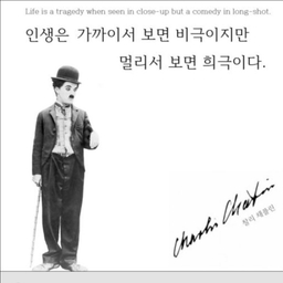 피드에 업로드 된 이미지