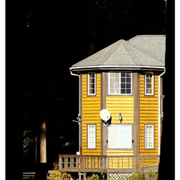 피드에 업로드 된 이미지