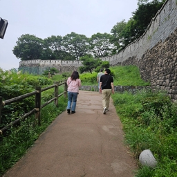 피드에 업로드 된 이미지