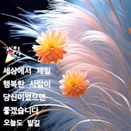 피드에 업로드 된 이미지