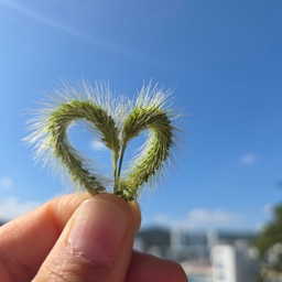 공지사항에 업로드 된 이미지
