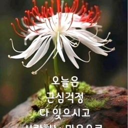 ํผ๋์ ์
๋ก๋ ๋ ์ด๋ฏธ์ง