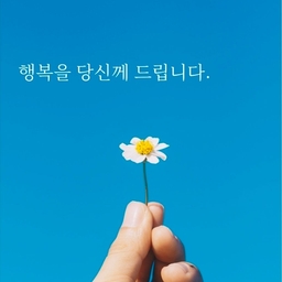피드에 업로드 된 이미지