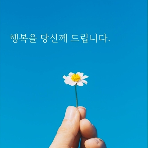 피드 이미지