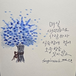 피드에 업로드 된 이미지
