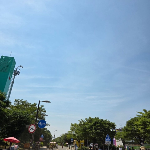 피드 이미지