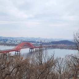 피드에 업로드 된 이미지