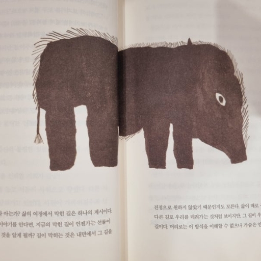 피드 이미지