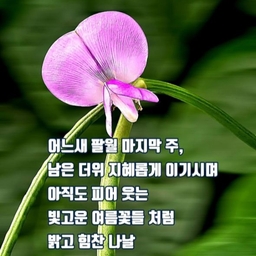 피드에 업로드 된 이미지