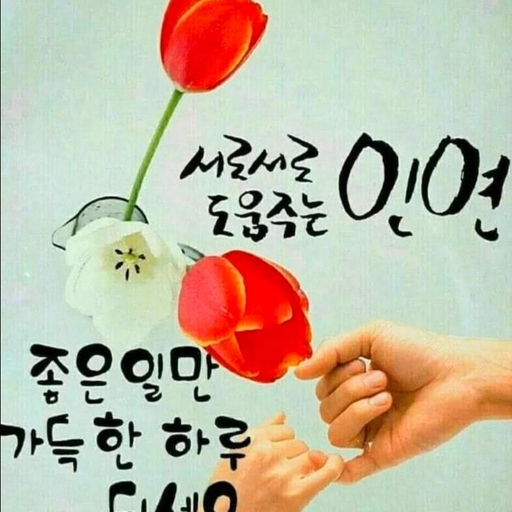 피드 이미지