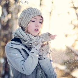 피드에 업로드 된 이미지