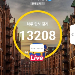 피드에 업로드 된 이미지