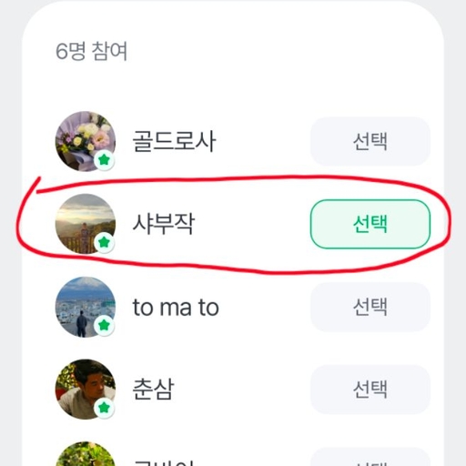 피드 이미지