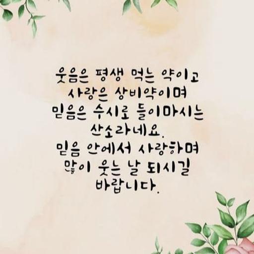 피드 이미지