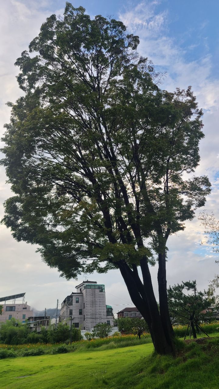 피드 이미지
