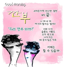 피드에 업로드 된 이미지