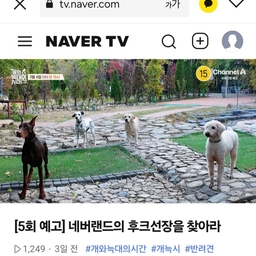 피드에 업로드 된 이미지