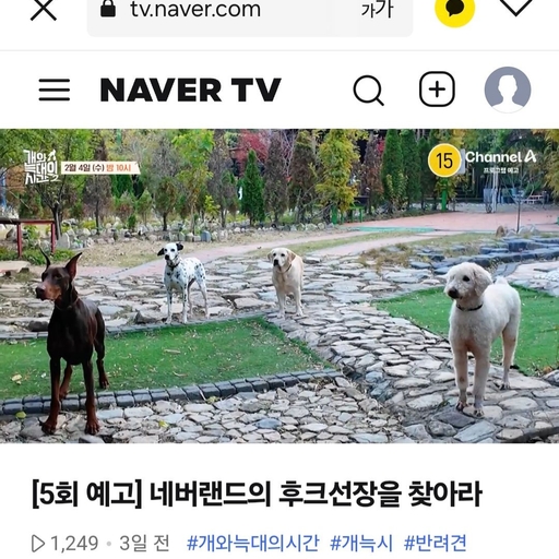 피드 이미지