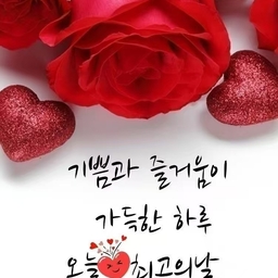 공지사항에 업로드 된 이미지