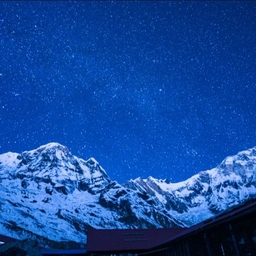 피드에 업로드 된 이미지