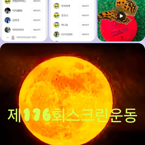 피드 이미지