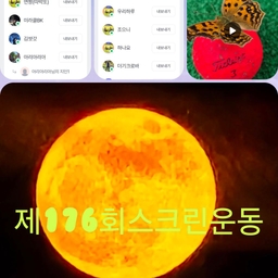 피드에 업로드 된 이미지
