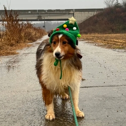 피드에 업로드 된 이미지