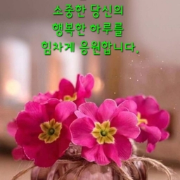 피드에 업로드 된 이미지