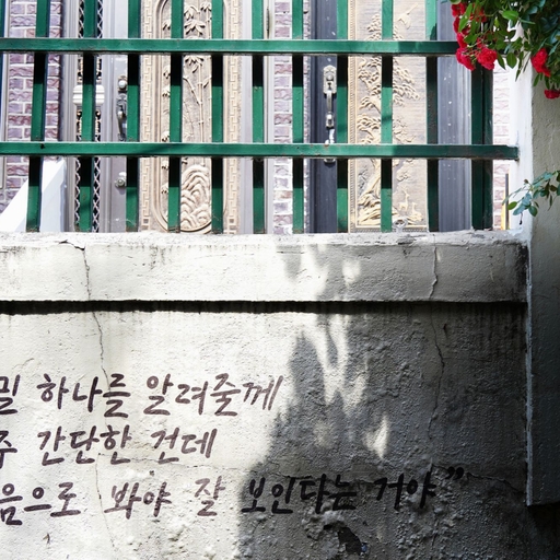 피드 이미지