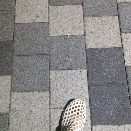 피드 이미지