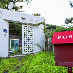 피드에 업로드 된 이미지