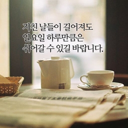 피드에 업로드 된 이미지
