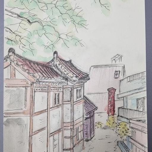 피드 이미지