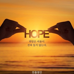 피드에 업로드 된 이미지