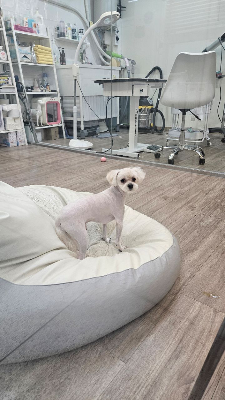 피드에 업로드 된 이미지