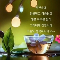 피드에 업로드 된 이미지