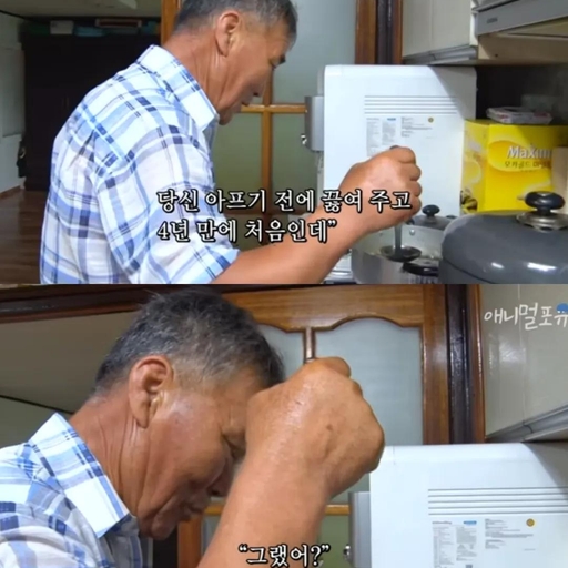 피드 이미지
