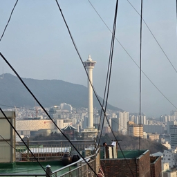 피드에 업로드 된 이미지