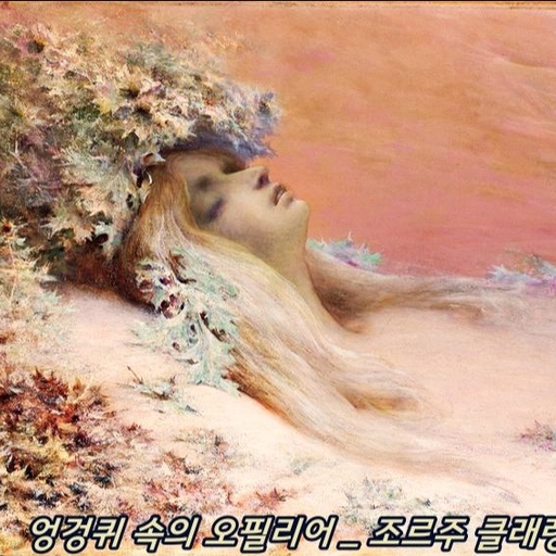 피드 이미지