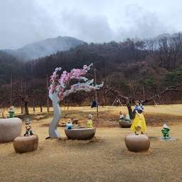 피드에 업로드 된 이미지