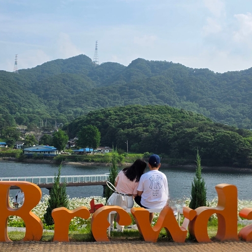 피드 이미지