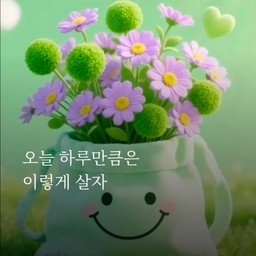 피드에 업로드 된 이미지
