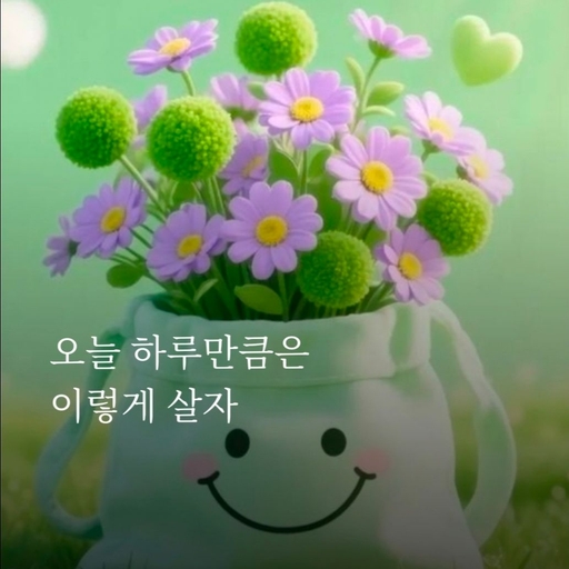 피드 이미지