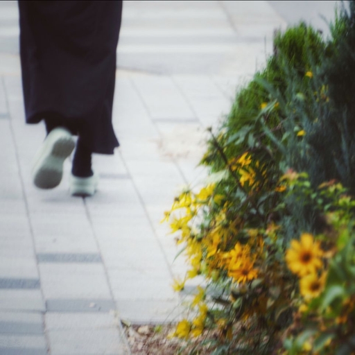피드 이미지