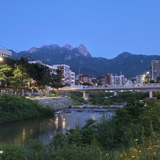 피드 이미지