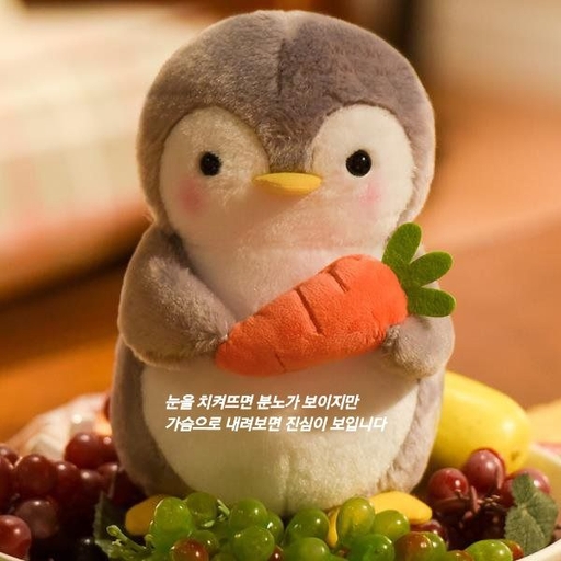 피드 이미지