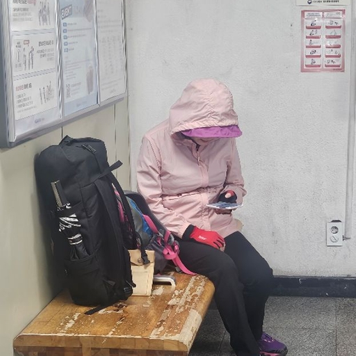 피드 이미지