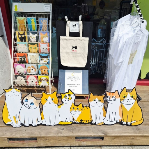 피드 이미지