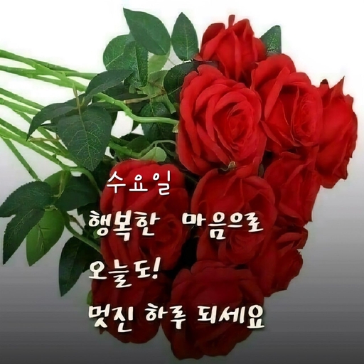 피드 이미지