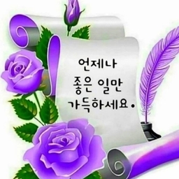 피드에 업로드 된 이미지